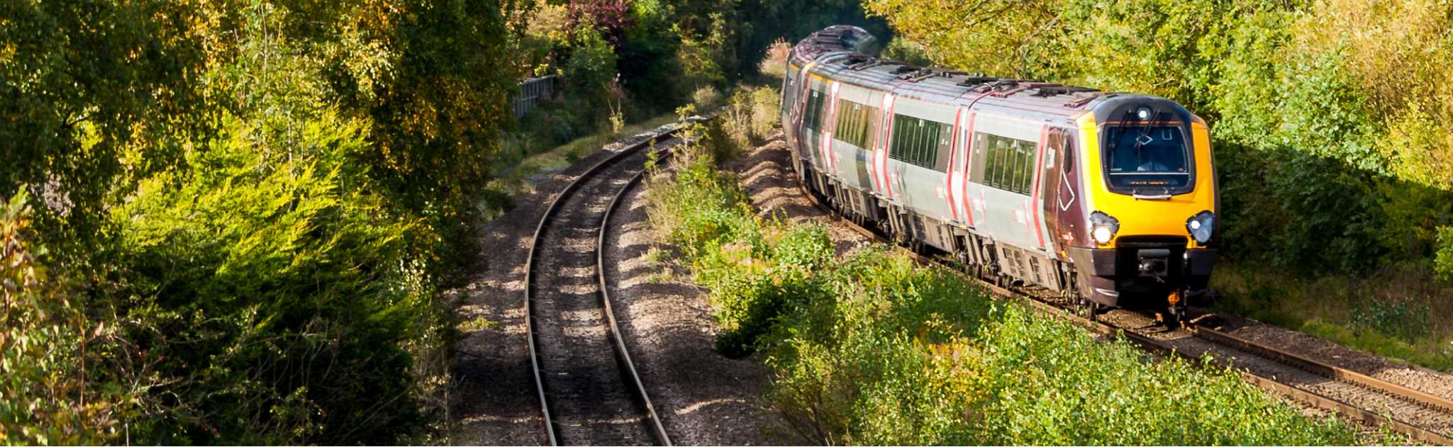 Train on tracks surrounded by green foliage.